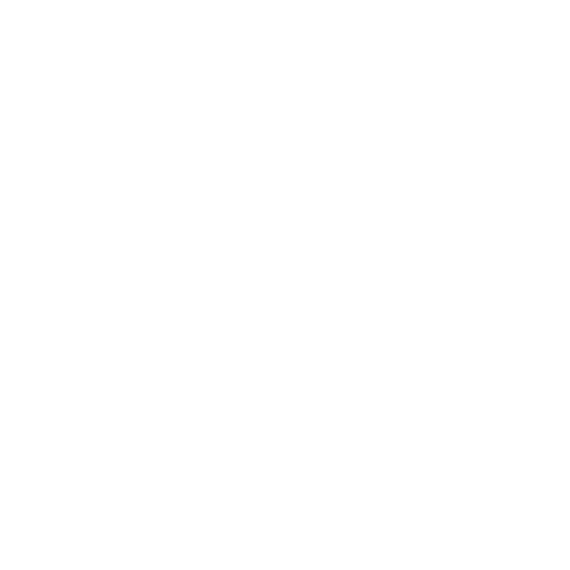 Watchdog Systems Logo